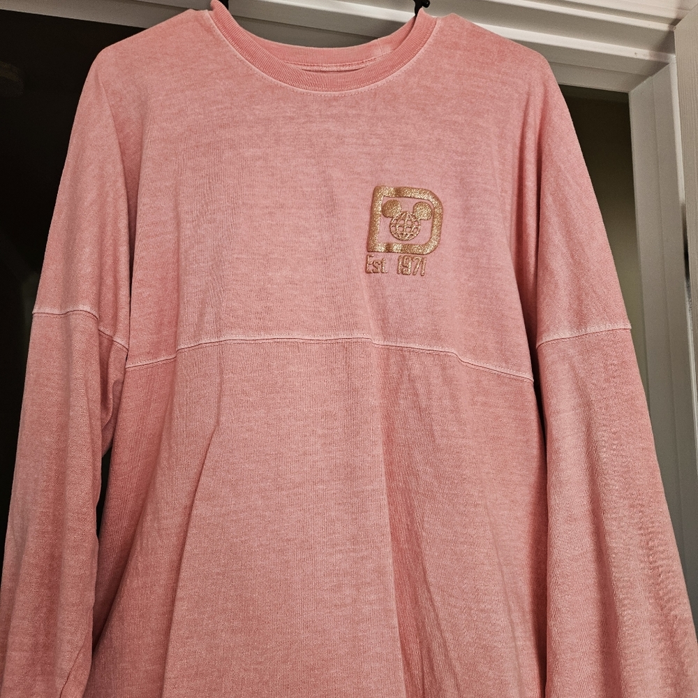 Walt Disney World Spirit Jersey